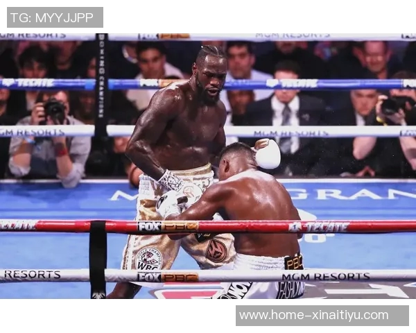 维尔德对决拳坛传奇挑战赛精彩回顾与未来展望